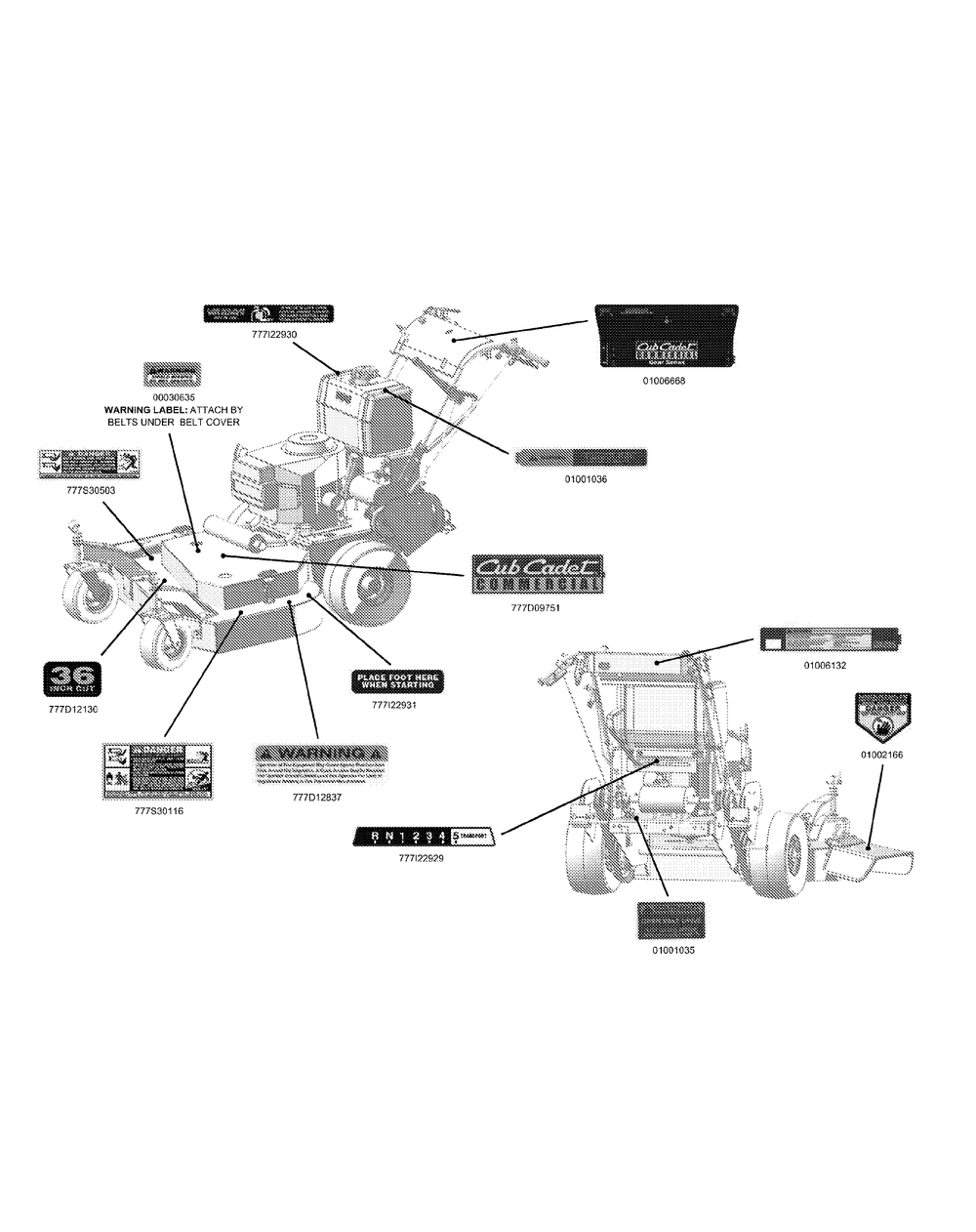 Decals Diagram and Parts List for G1236 55AC5GMR250-WAM Cub Cadet Lawn Mower